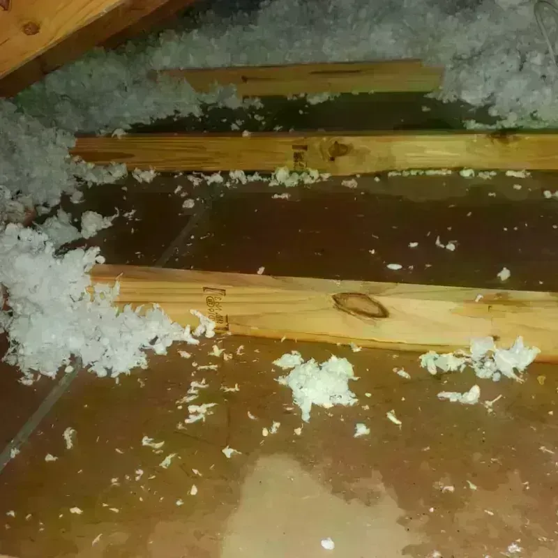 Attic Water Damage in Duquesne, PA