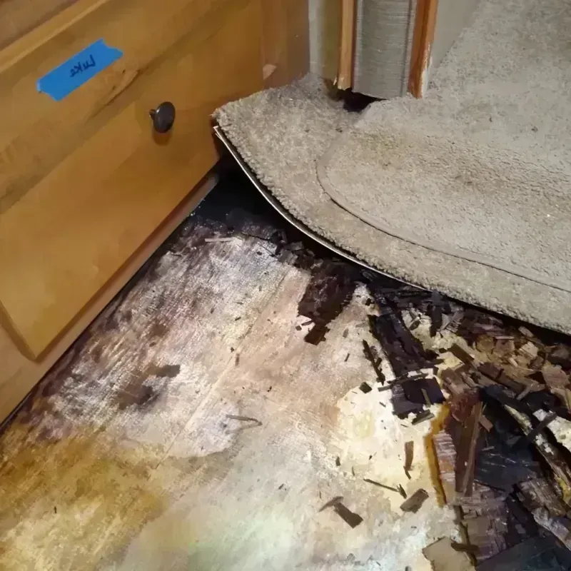 Best Wood Floor Water Damage Service in Duquesne, PA